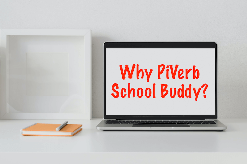 Why PiVerb